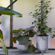 Load image into Gallery viewer, COLLECT | PLANTER POT M