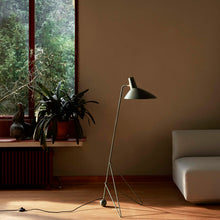 Load image into Gallery viewer, TRIPOD HM8