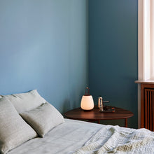 Load image into Gallery viewer, Collect | Linen Cushion 30x50, SAND