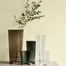 Load image into Gallery viewer, COLLECT | GLASS VASE, CLEAR