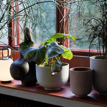 Load image into Gallery viewer, COLLECT | PLANTER POT M