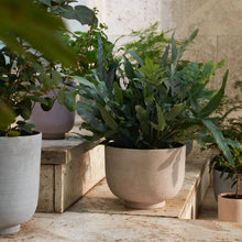 Load image into Gallery viewer, COLLECT | PLANTER POT S
