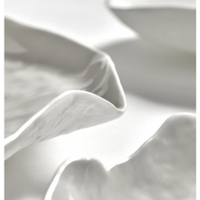 Load image into Gallery viewer, PLATE FUNGUS PERFECT IMPERFECTION
