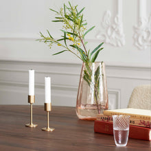 Load image into Gallery viewer, COLLECT VASE
