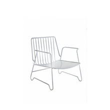Load image into Gallery viewer, LOUNGE ARMCHAIR FISH &amp; FISH
