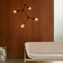 Load image into Gallery viewer, FRANKLIN CHANDELIER
