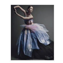 Load image into Gallery viewer, Dior New Couture
