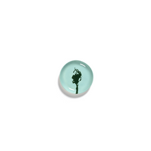 Load image into Gallery viewer, Feast / PLATE XS FACE 2
